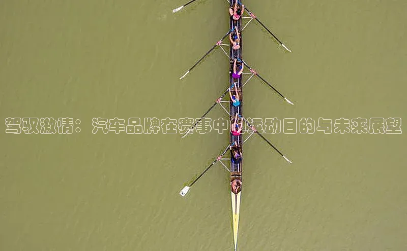 驾驭激情：汽车品牌在赛事中的运动目的与未来展望