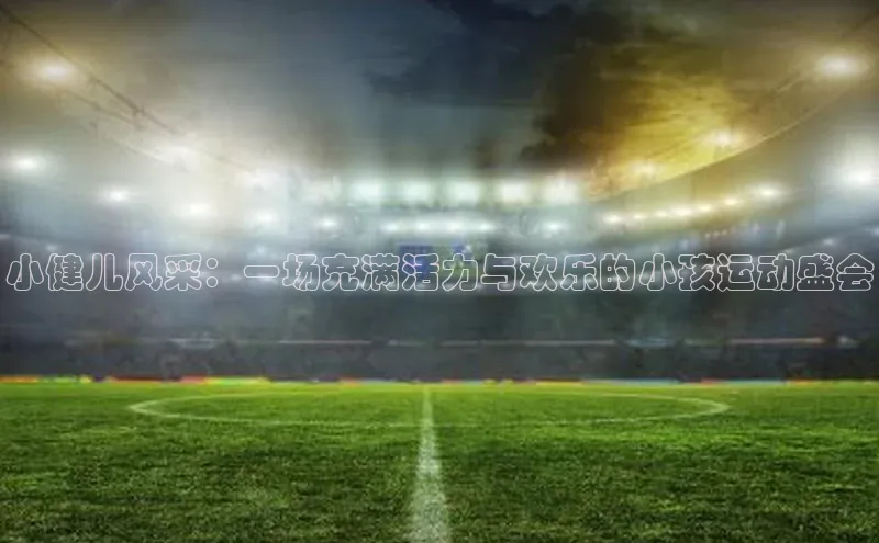 小健儿风采：一场充满活力与欢乐的小孩运动盛会