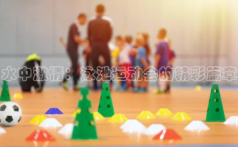 水中激情：泳池运动会的精彩篇章