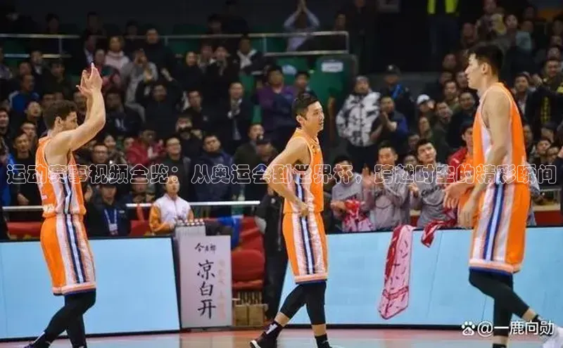 运动赛事视频全览：从奥运会到世界杯，跨越时空的精彩瞬间